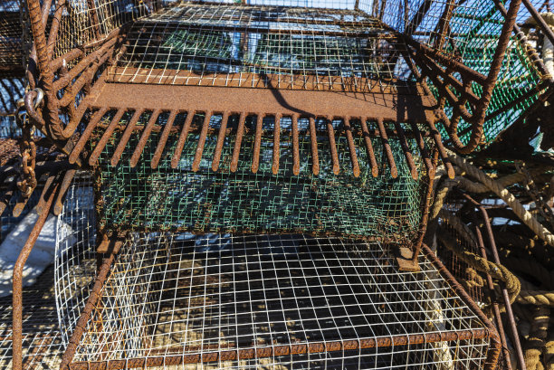虾笼渔网