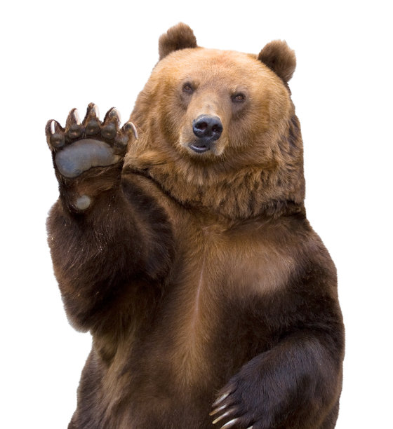 ursus