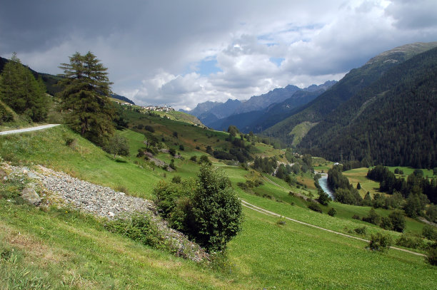 guarda