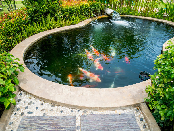 ponds