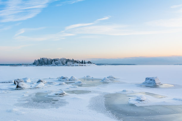 arctic