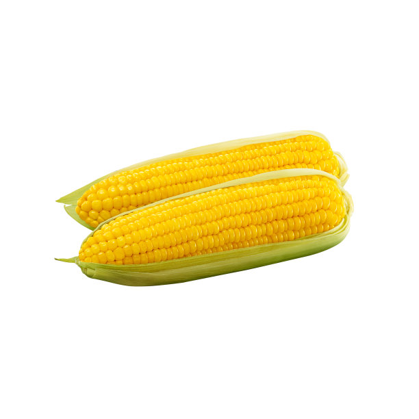 maize