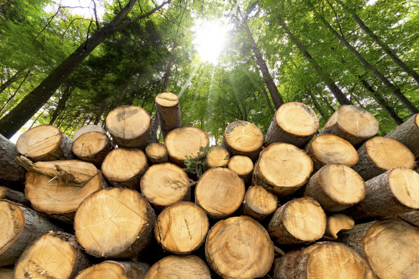 log