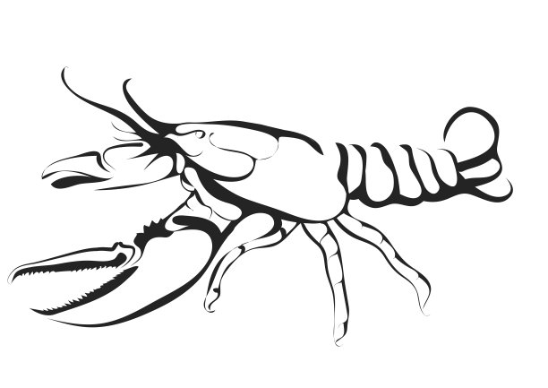 crawdad