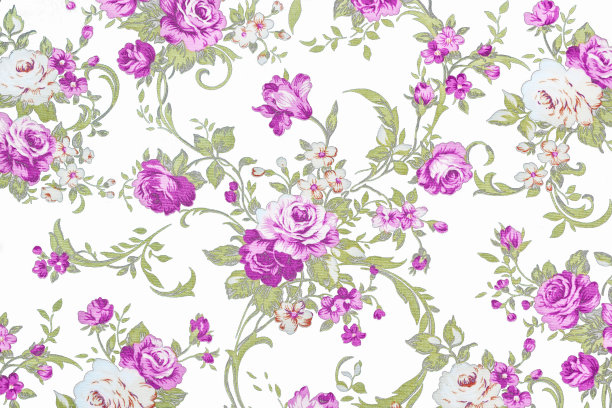 toile