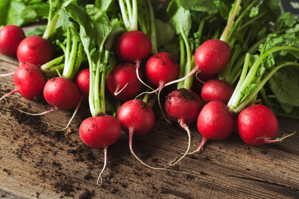 radishes