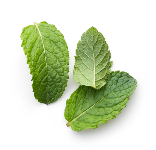 herb