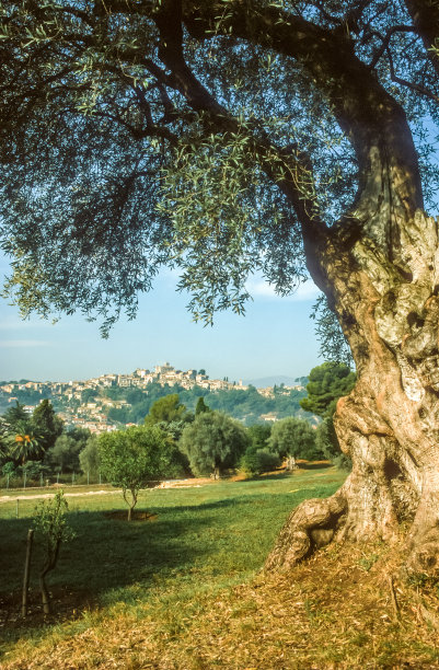 renoir