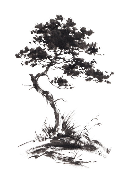 pinus
