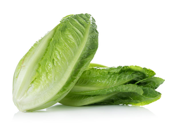 romaine