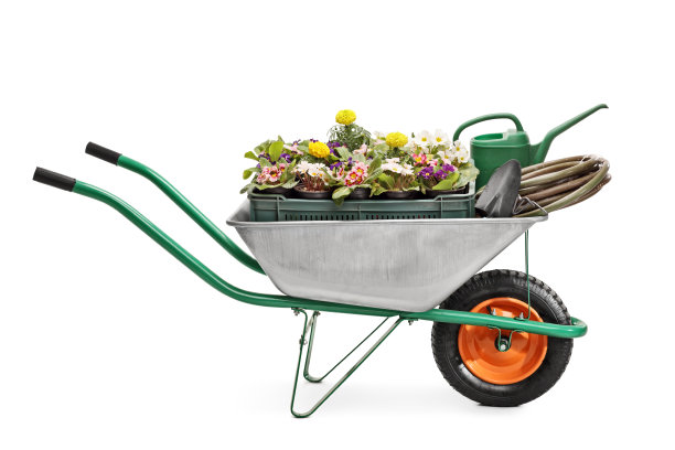 wheelbarrow
