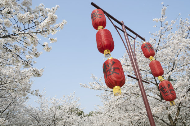 武汉东湖风光全景图