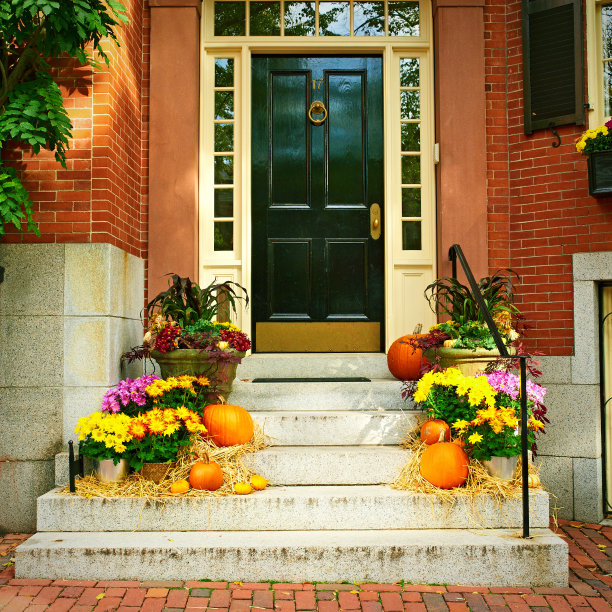 doors