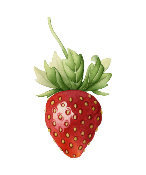 草莓创意图
