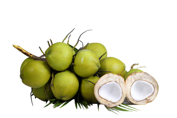 coconut