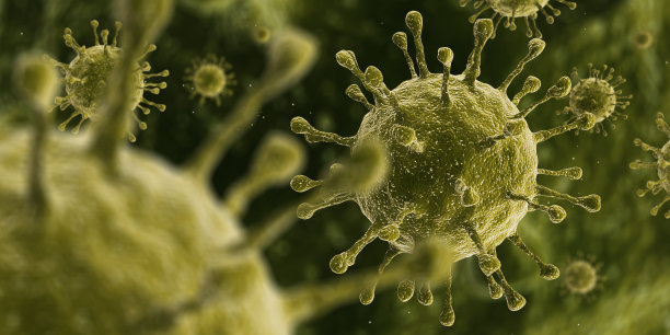 bacteria