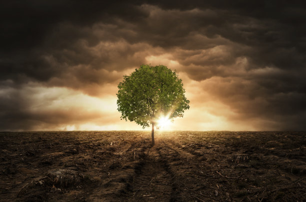 hope