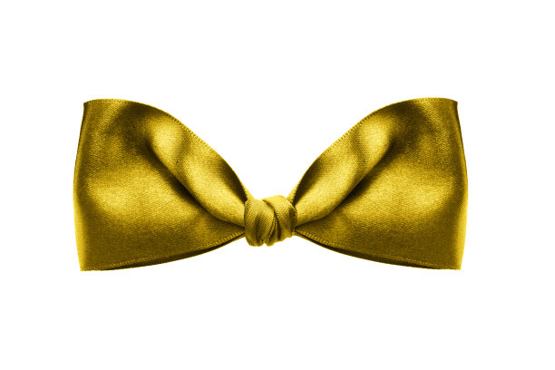金色蝴蝶结丝绸领结