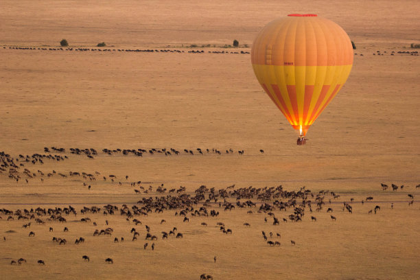 serengeti
