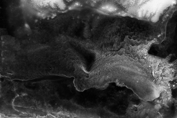 monochrome