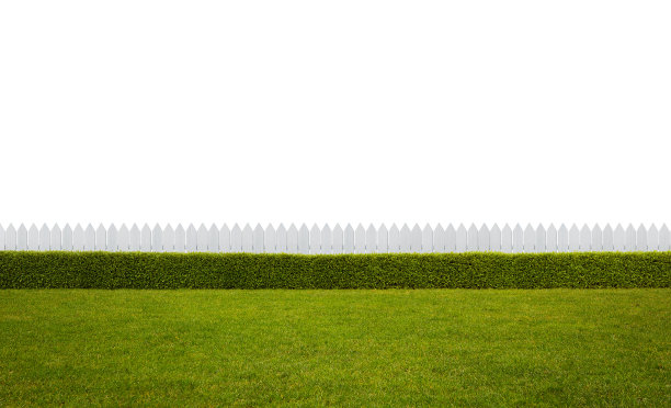 fence