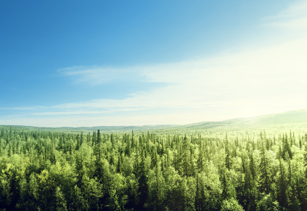 全景