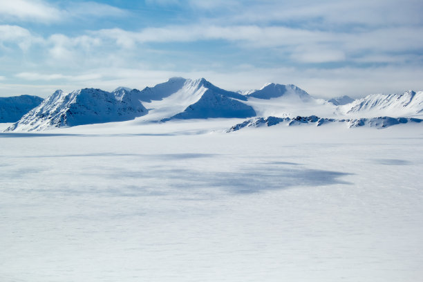 arctic