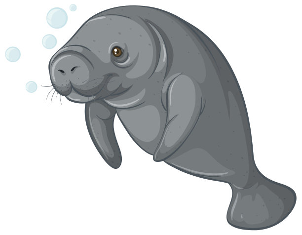 海牛