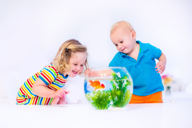aquarium