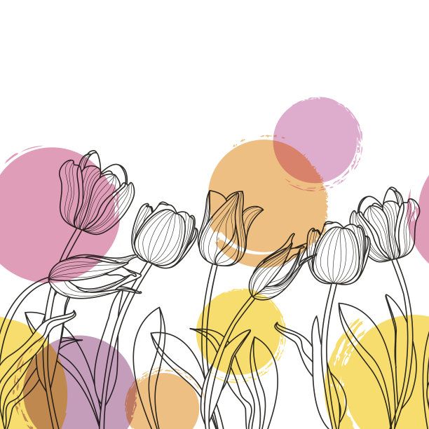 tulip