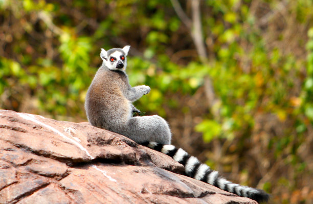 madagascar
