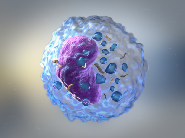 cell