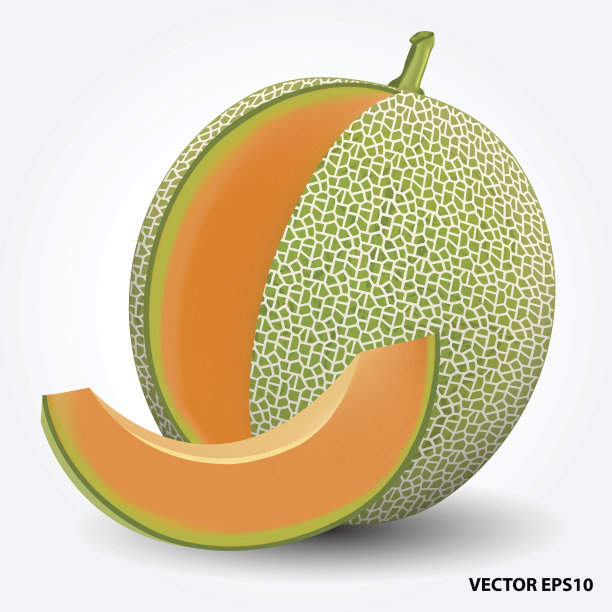cantaloupe