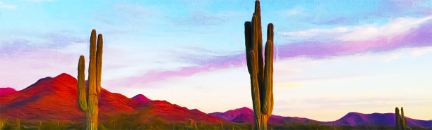 沙漠风景画