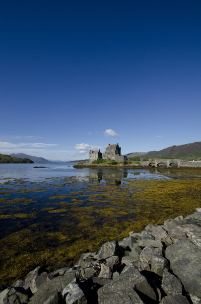donan