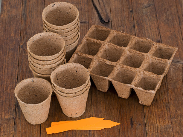 biodegradable