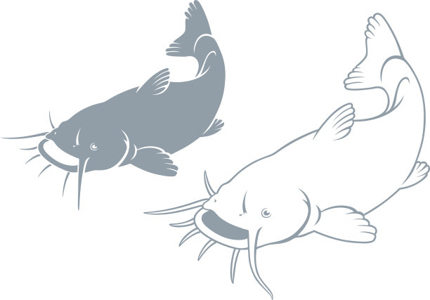 catfish
