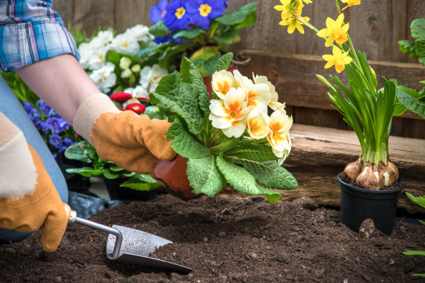 horticulture