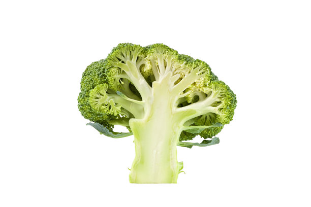 brocolli