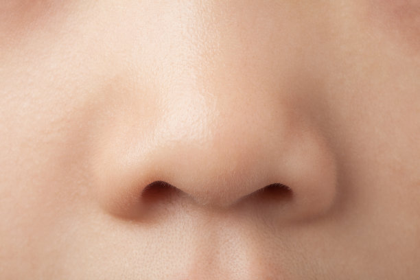 nose