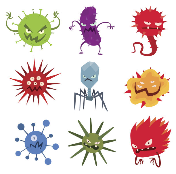 bacteria