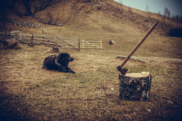 纪律处分工作原则