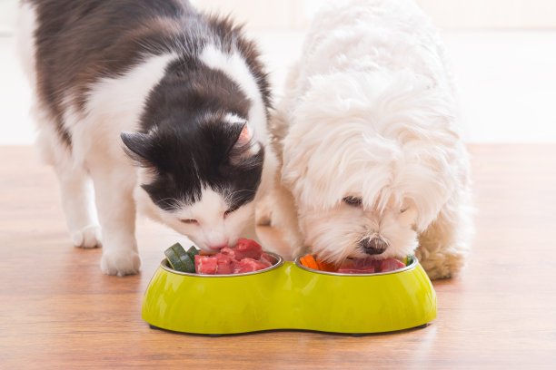 eat