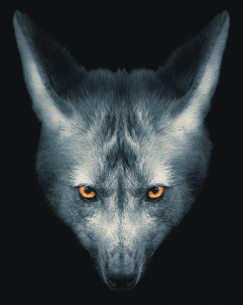 vulpes