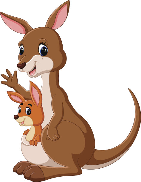 kangaroo