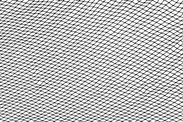 net