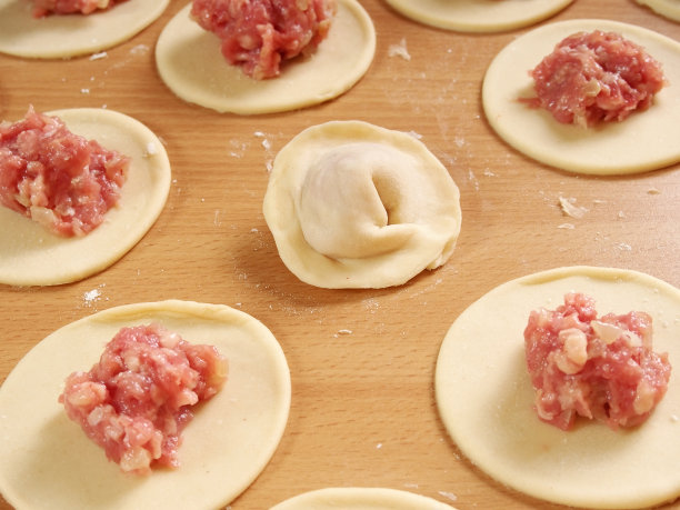 gyoza