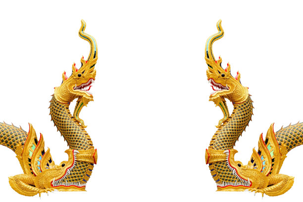 泰国,动物身体部位,动物头