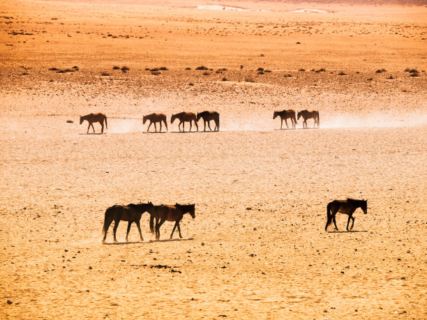 namibia