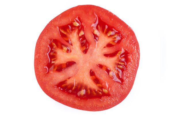 lycopersicon